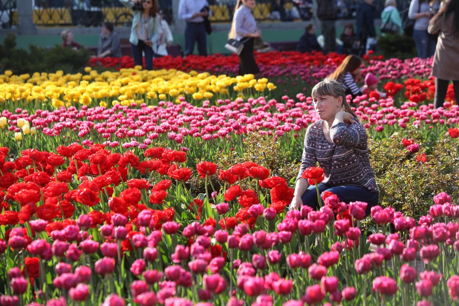 Фото с тюльпанами на улице. Аптекарский огород тюльпаны. Весенний фестиваль цветов. Выставка тюльпанов. Тюльпаны растут.